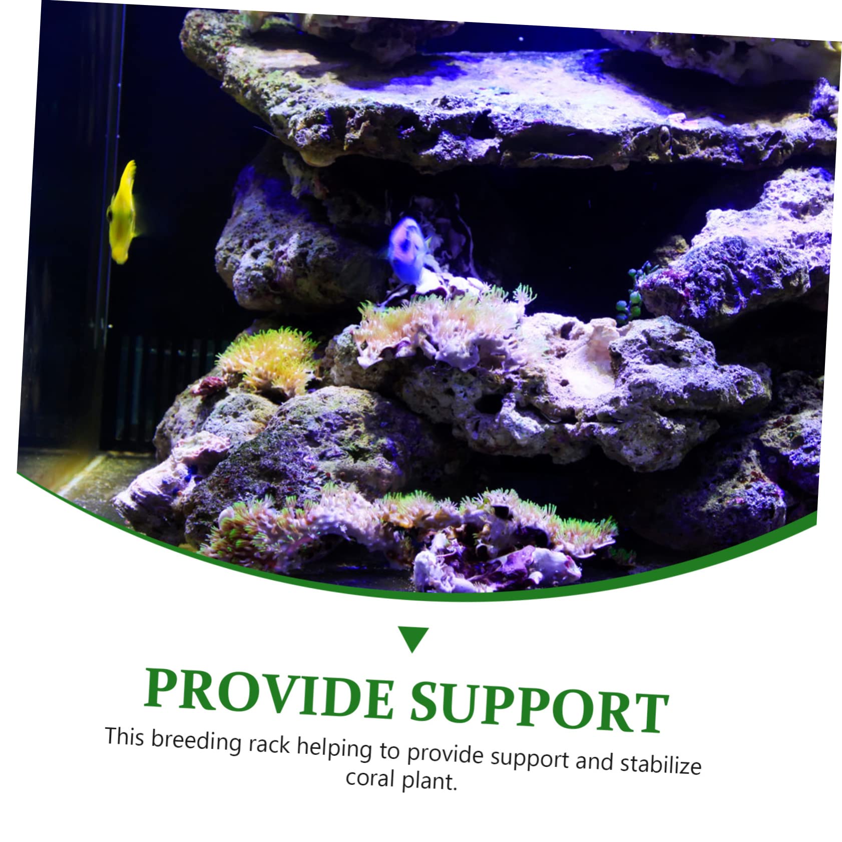 Kisangel 3stücke Double Layer Holder Aus Hochwertigem Stabiler Unterstützung Für Korallen Und Aquarienpflanzen Für Aquarien-Dekoration Und Korallen-zucht