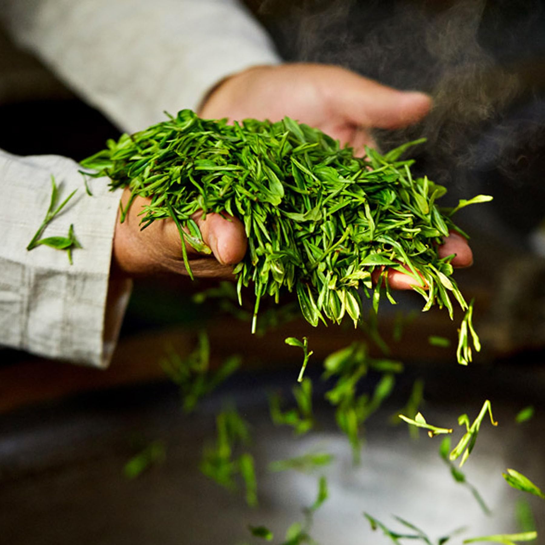 Sfermentowana Herbata Pu'er Z Yunnan - Dojrzała Herbata Banzhang Stare Drzewo, Czarna Herbata 357g Naturalny Smak