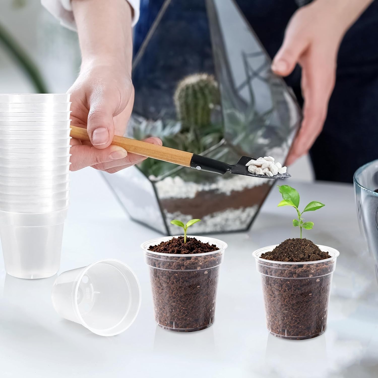 240 Pcs Clear Mini Nursery Pots for Plants, 2 Inch Plastic Seedling Clear Plant Pots with Drainage Holes, Seed Starting Trays for Various Seeds Indoor & Outdoor Flower Planters