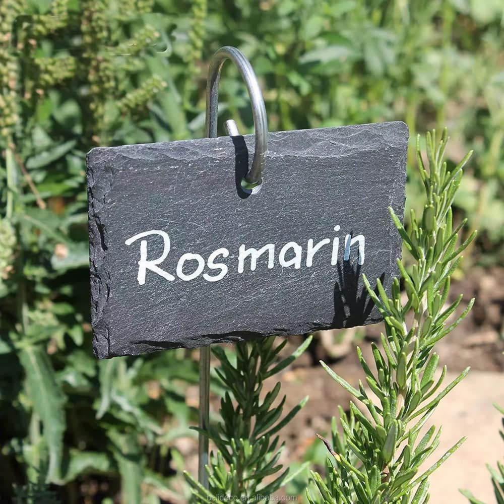 1 Set Schiefer-Gartenetiketten Pflanzenidentifikation Schild Rechteckig Pflanze Eisen Hängeetikett Farm Töpfe Blumenbeet