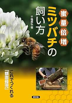 ミツバチ飼育員 楽天市場】ミツバチ飼育種蜂4枚群2026年5月上旬出荷予定 : 蜂屋さん