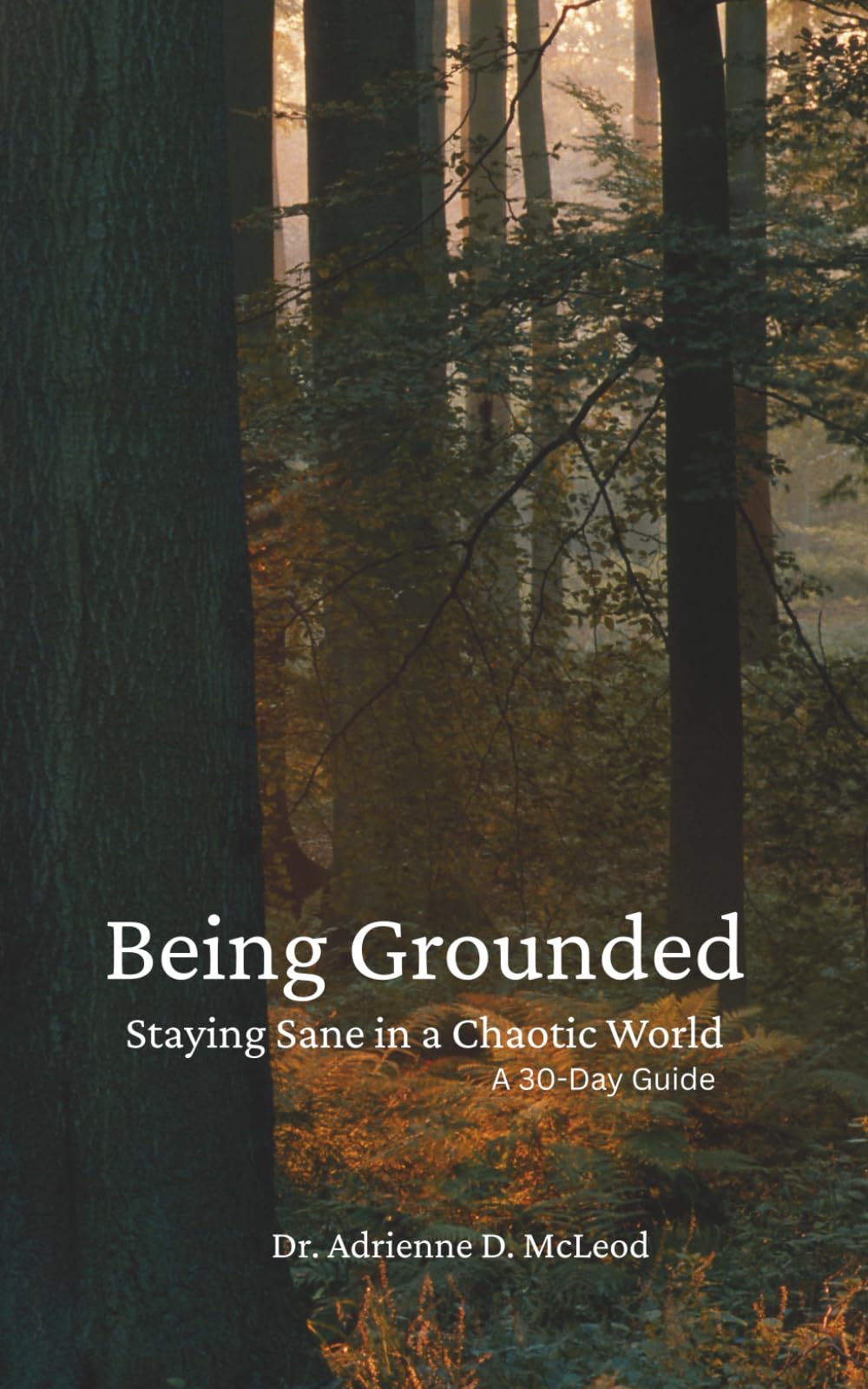 Being Grounded: Staying Sane in a Chaotic World - A 30-day Guide