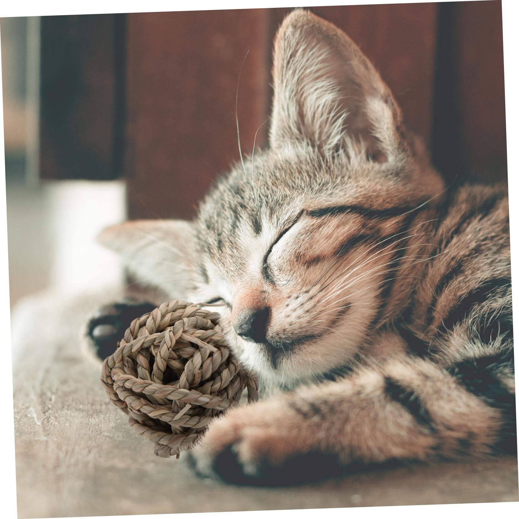 DOITOOL 6stücke Handgefertigte Naturgras-Rope-bälle Kauspielzeug Für Kleintiere Wie Kaninchen Und Meerschweinchen Aktivitätsspielzeug Zur Beschäftigung Und Zahnpflege Sicher Und