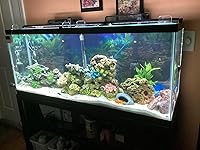 Review Image by Joyce from Ohio Joyce from Ohio