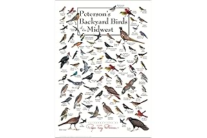 Peterson's Backyard Birds of the Midwest