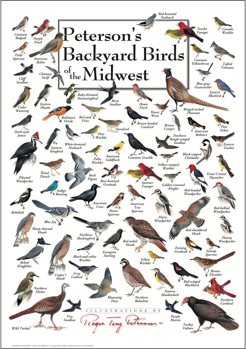 Earth Sky + Water - Peterson’s Backyard Birds of the Midwest - Poster