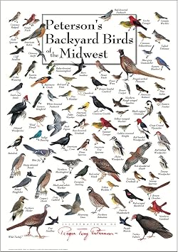 Earth Sky + Water - Petersons Backyard Birds of the Midwest - Poster 19 X 27