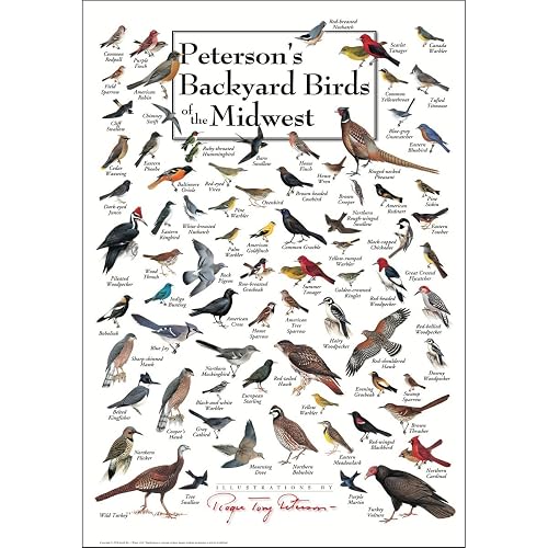 Earth Sky + Water - Peterson's Backyard Birds of the