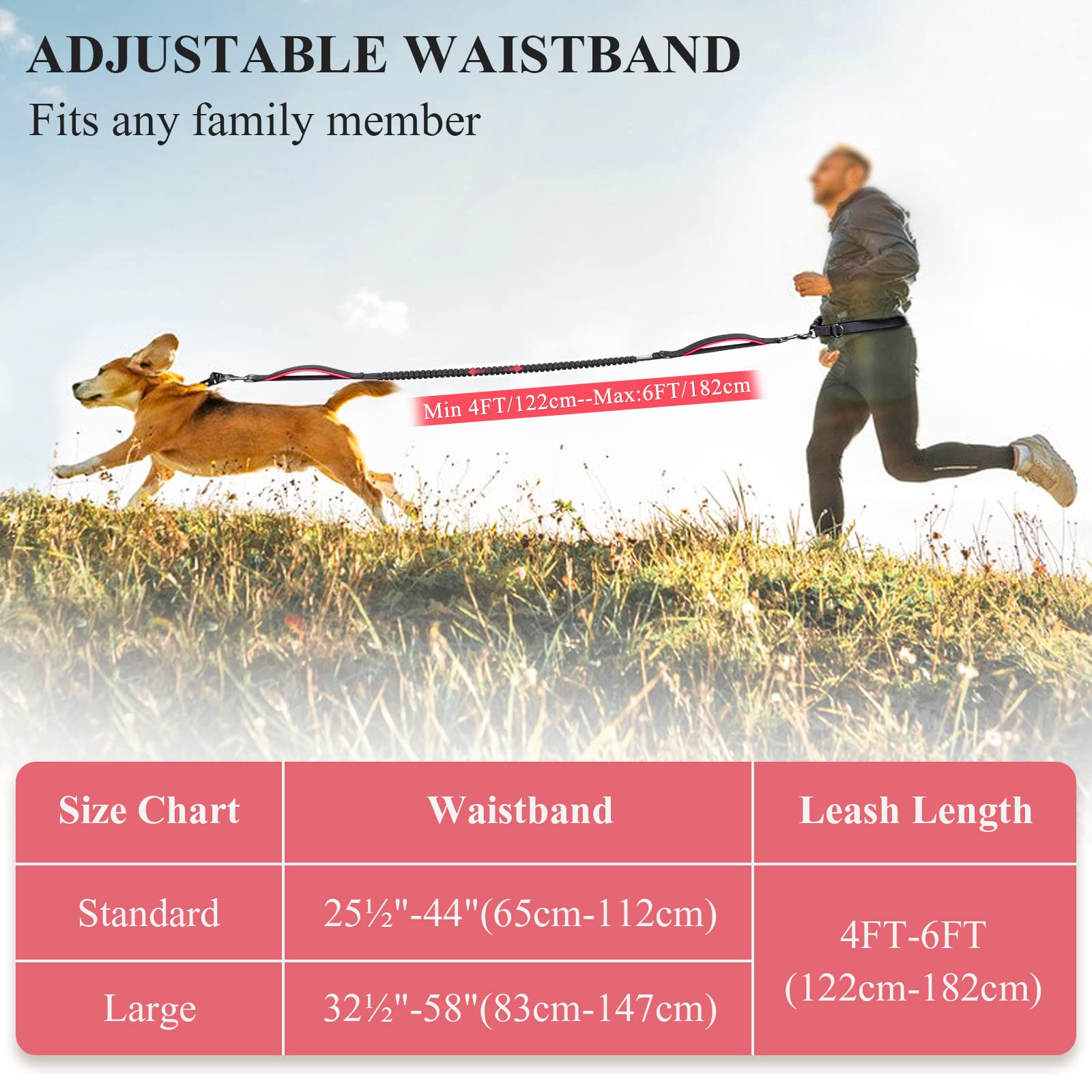 VIVAGLORY Correa para Perro sin Manos, Correa de Cintura con Bungee Absorbente de Choques para Perros Medianos y Grandes, Correa Reflectante Ajustable para Correr con Asa Acolchada, Negra-Roja