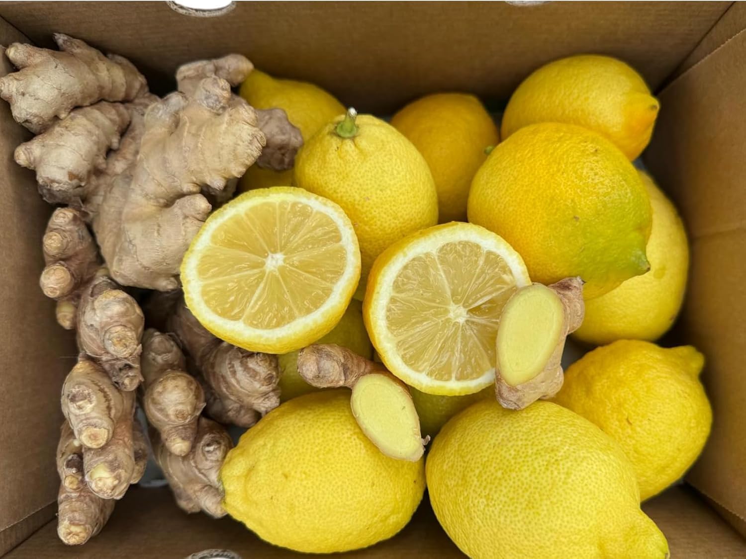 Vitalem – Jengibre Limón Frescos 4,5 kg (4 kg Limón + 0,50 kg Jengibre) | Cítricos y Raíz Natural | Producto 100% Natural y Sostenible | Cultivo Local | Ideal para Infusiones, Zumos, Batidos (4,5 kg)