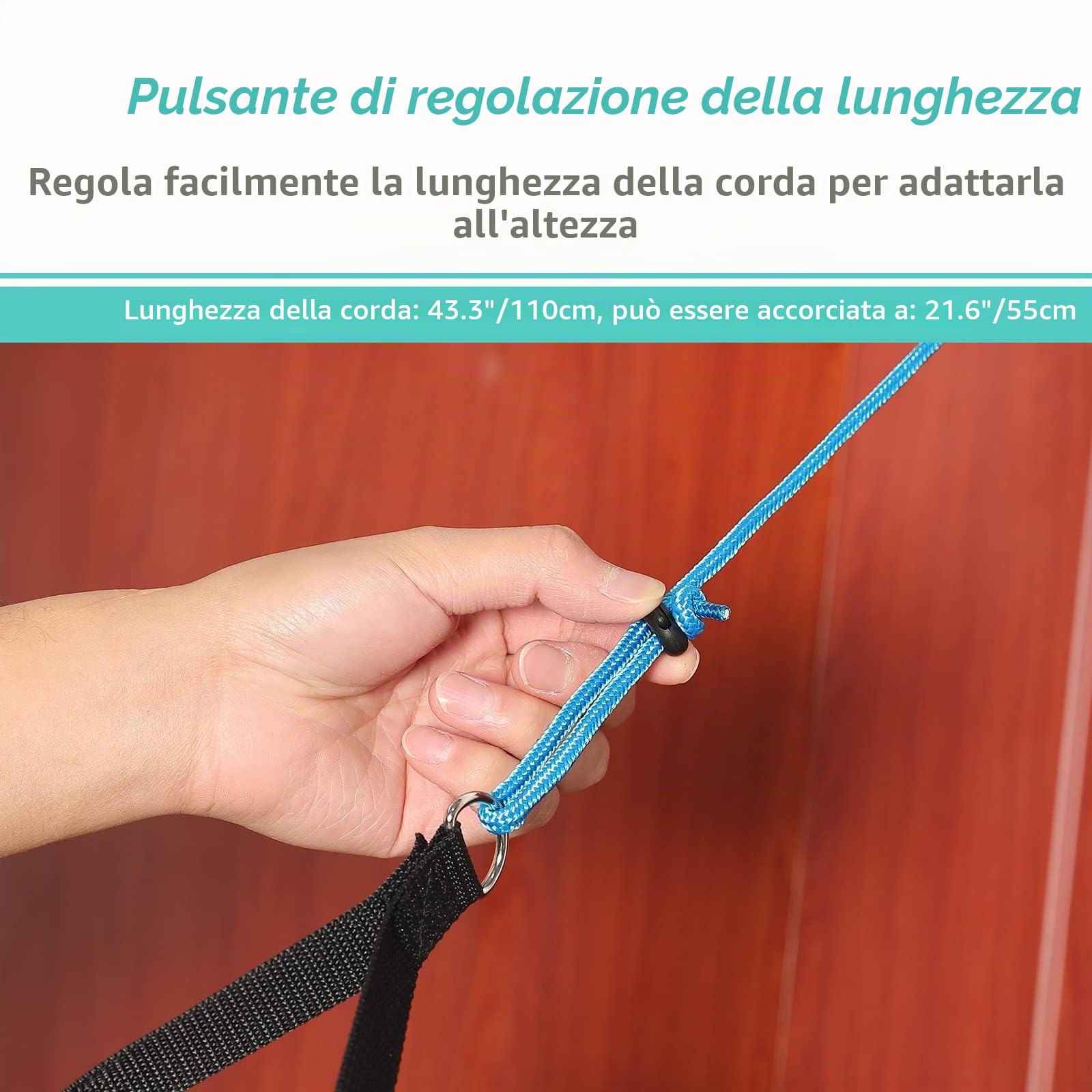 Fanwer Spalla Carrucola Palest Attrezi, Fisioterapia Spalla Puleg, per Esercizio e il Recupe Dopol un Infortunio Chirurg, Blu, maniglia di qualità TPR