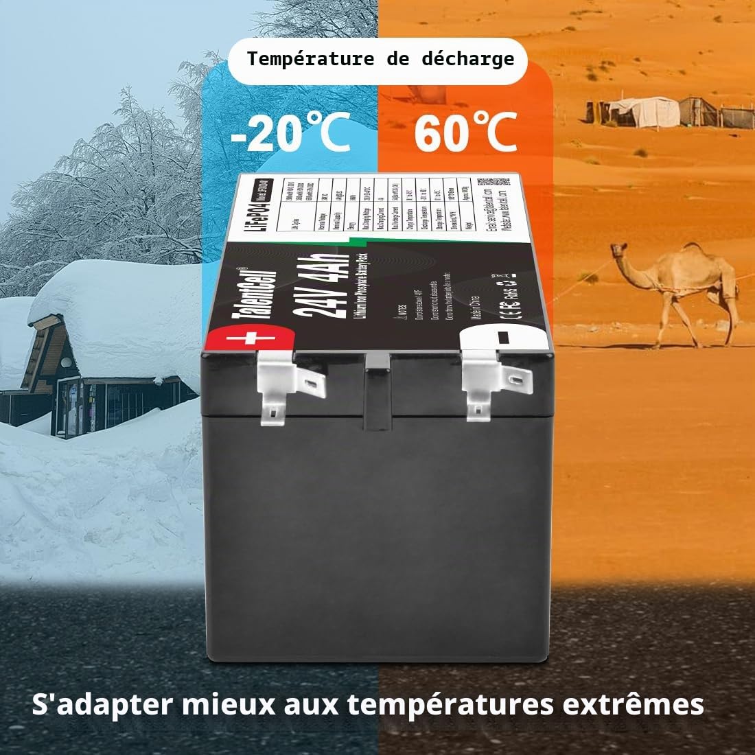 TalentCell Batterie LiFePO4 24 V 4 Ah, 96 Wh, à décharge profonde, rechargeable, lithium-fer-phosphate pour moteur de pêche, VR, voiture jouet, camping, système solaire, projet DIY