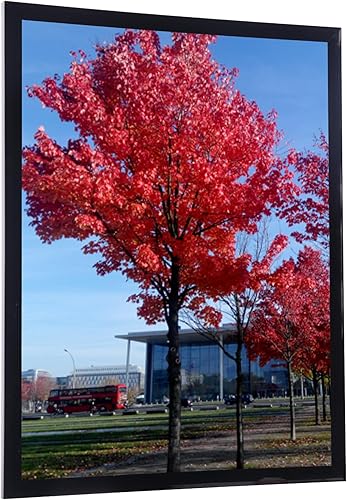 Vista 110 de Medog Marco de póster de 24 x 36 pulgadas, color negro, paquete de 2 marcos para fotos de 24 x 36 pulgadas, marco de galería de estudio, marco de 2P