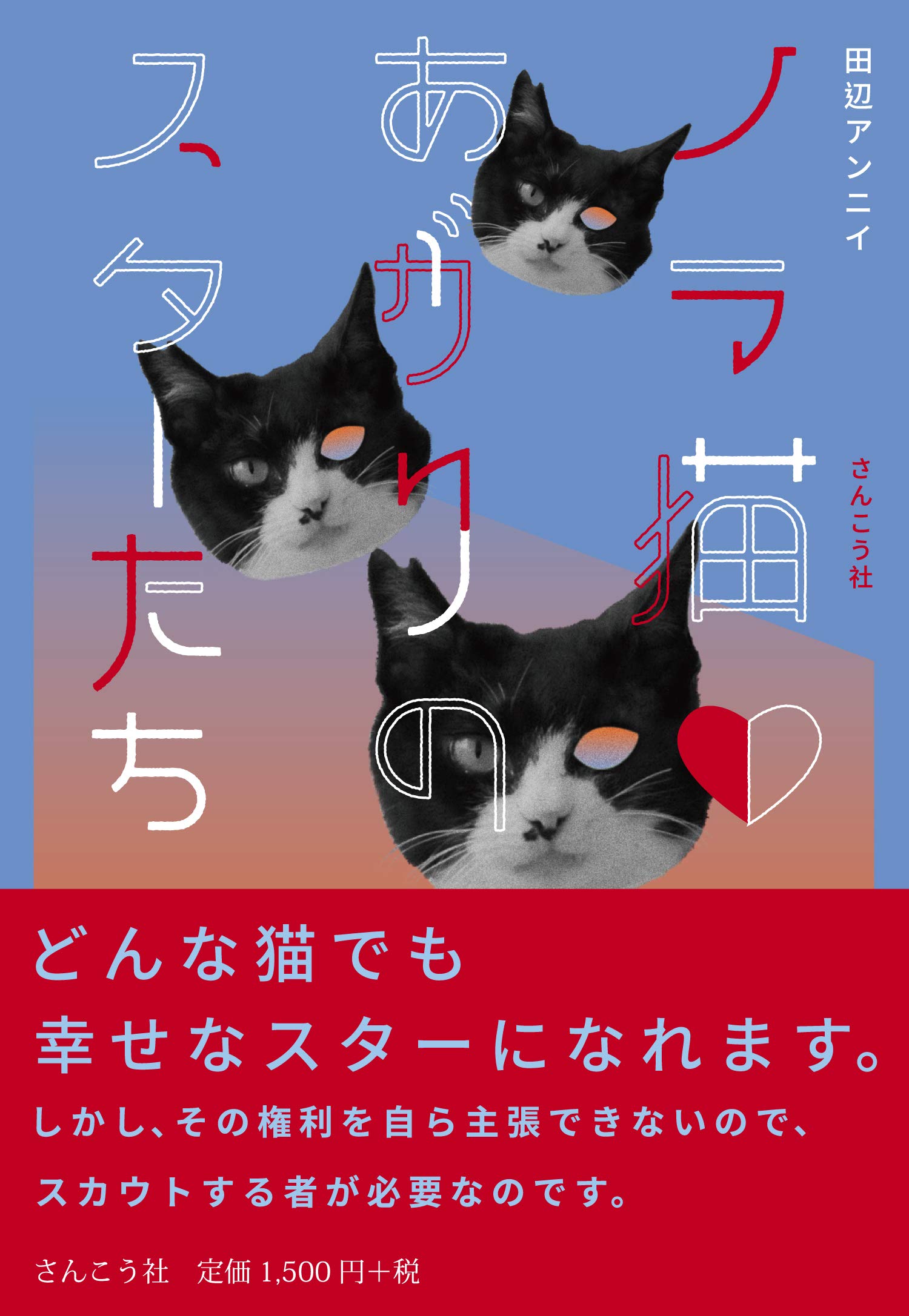 Amazon.co.jp: ノラ猫あがりのスターたち : 田辺アンニイ: 本
