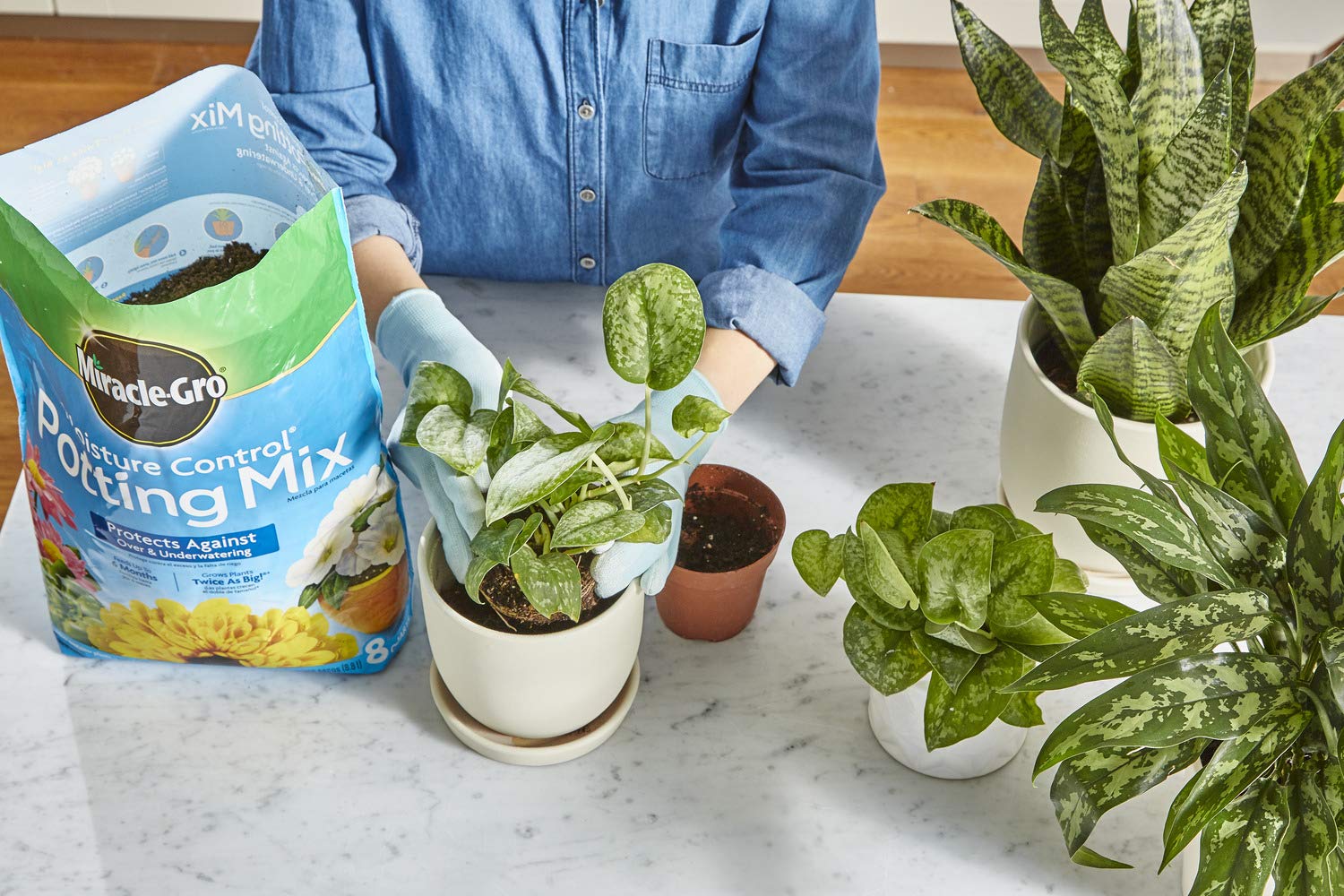 Miracle-Gro Moisture Control Potting Mix and Water Soluble All Purpose Bundle of Soil (8 qt.) and Plant Food (1.5 lb.) for Plants & Flowers Grown in Containers