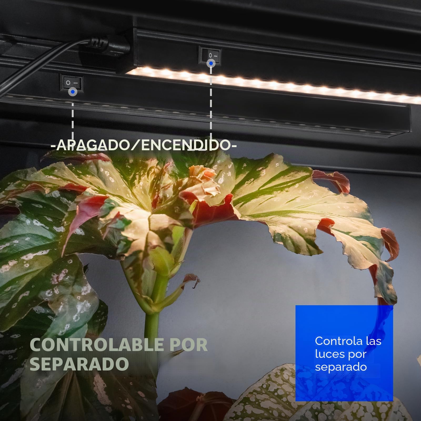 Barrina - Luces de cultivo de plantas T5 para cultivo en interiores, tiras de luz de crecimiento de espectro completo de 2 pies 80 W (8 x 10 W) con cubierta negra con interruptor, instalación