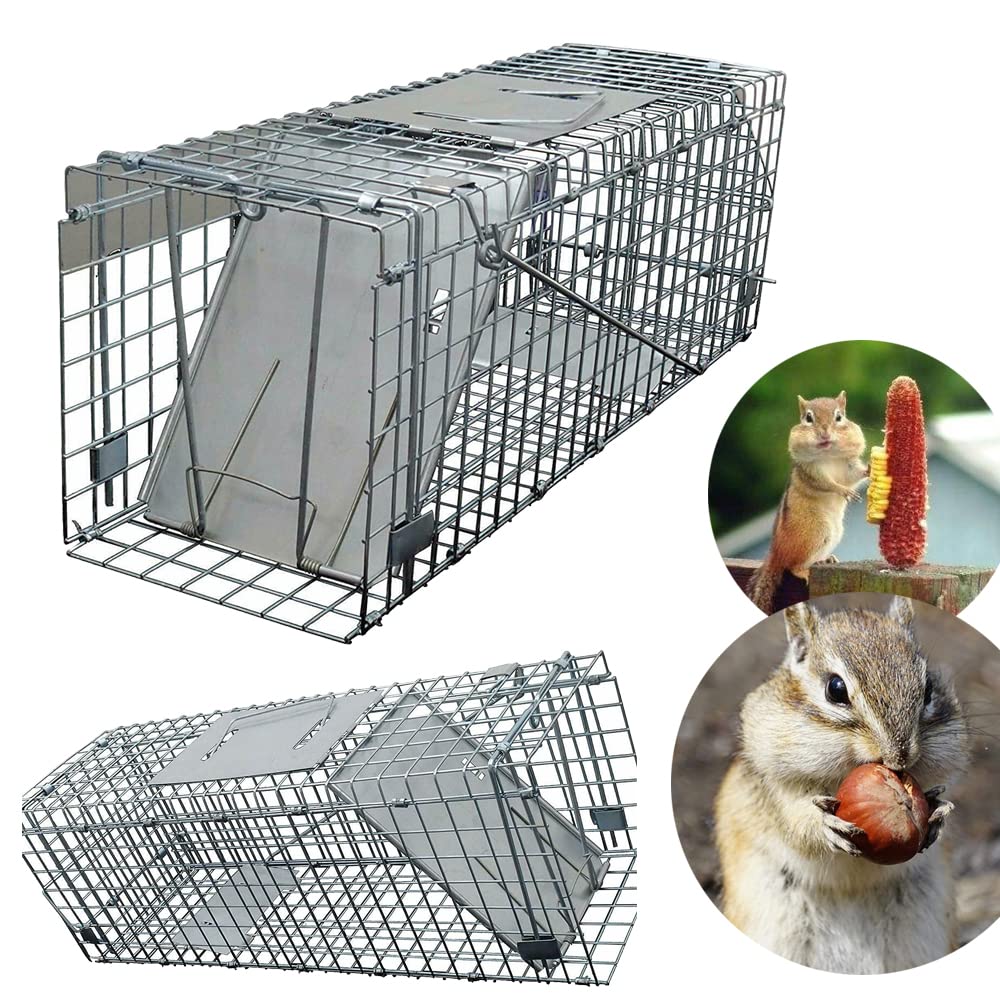 Buy Animal Trap (24" x7.5"x8.3") Can Reuseable Humane Animal Trap