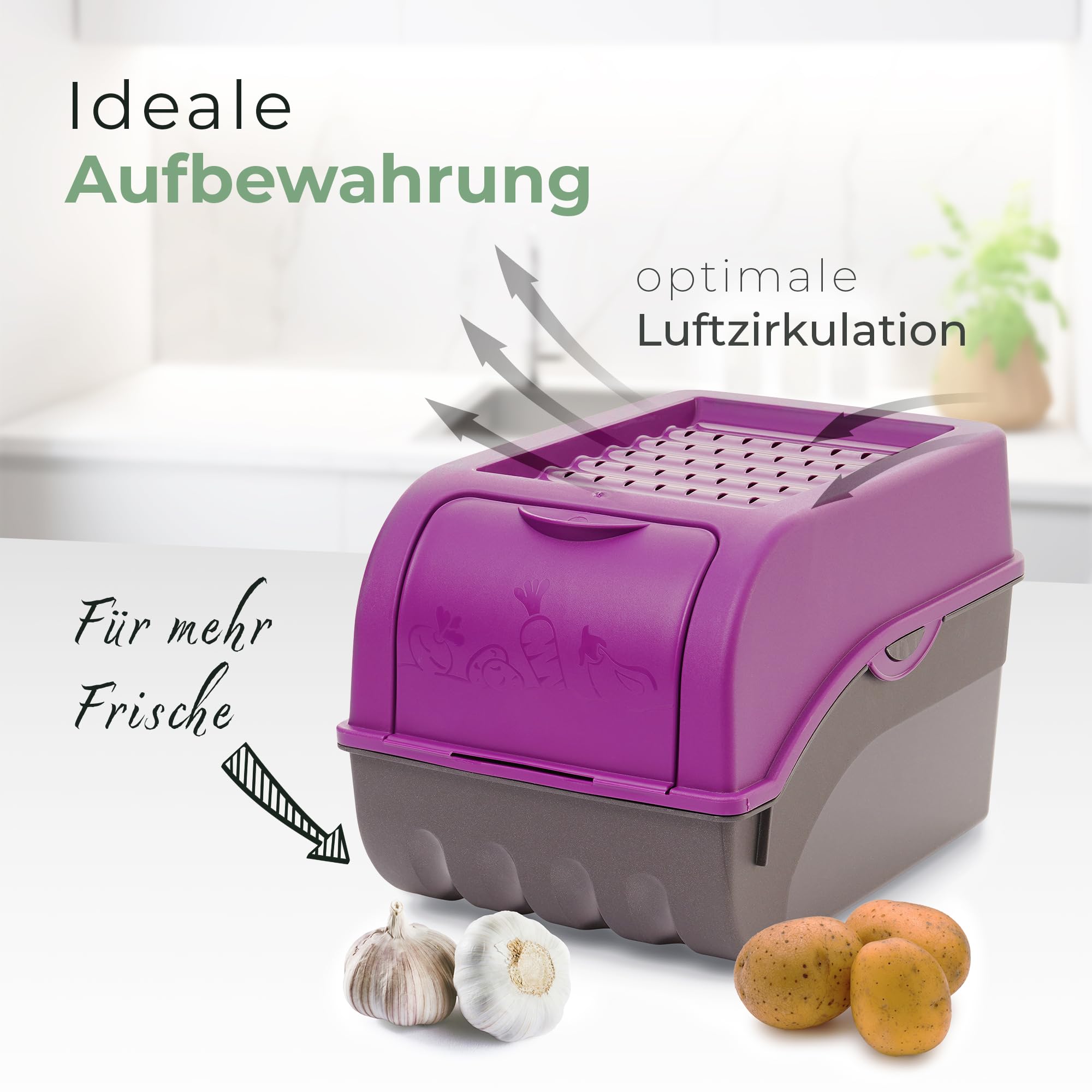 Novaliv Kartoffel Aufbewahrungsbox | 3X groß 9L | LILA | Zwiebelbox | Gemüsebox stapelbar Kartoffelbox Zwiebel Aufbewahrung Kartoffelkorb Obstbehälter Kartoffelkiste Frischhaltedose