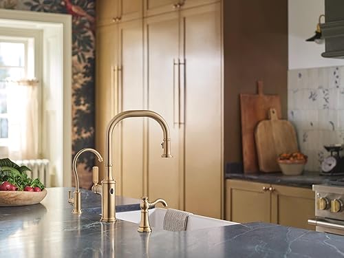 Miniatura 5 de Moen Brushed Gold Sip Traditional Cold Water Kitchen Beverage Faucet with Optional Filtration System, S5510BG