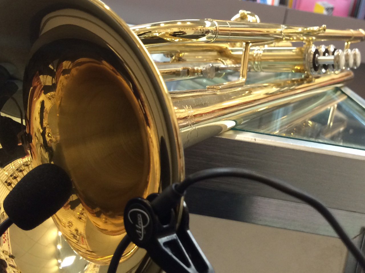 Myers Pickups The Feather Trumpet Microphone with Flexible Micro-Gooseneck