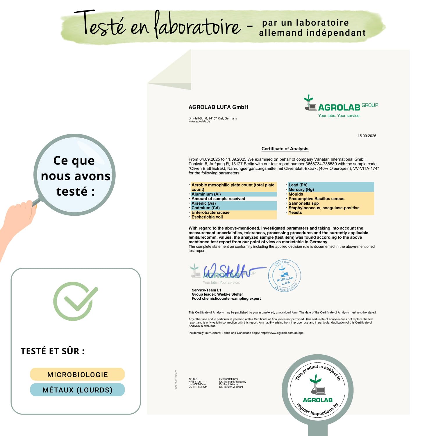 Extrait de Feuilles d'Olivier Vegavero® | 7500 mg avec 40% d'Oleuropéine | Sans Additifs | Antioxydant Puissant + Système cardiovasculaire + Tension | 90 Gélules | VEGAN