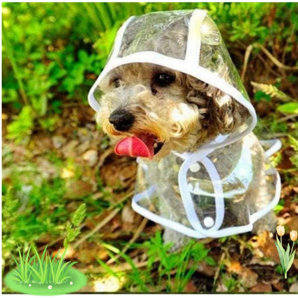 Imperméable pour Chien, Poncho de Pluie en PVC Transparent, Chien à Capuche, Vêtements de Pluie, Taille 52 cm
