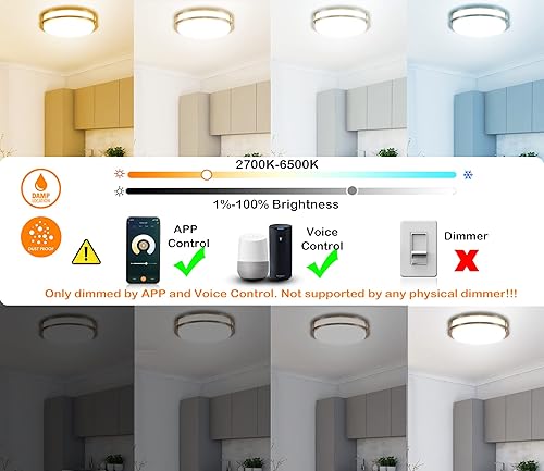 Miniatura 9 de CLOUDY BAY Lámpara de techo LED inteligente de 12 pulgadas, 20 W, 2700 K-6500 K, 4 W, color RGB compatible con Alexa y Google Home Assistant, bronce