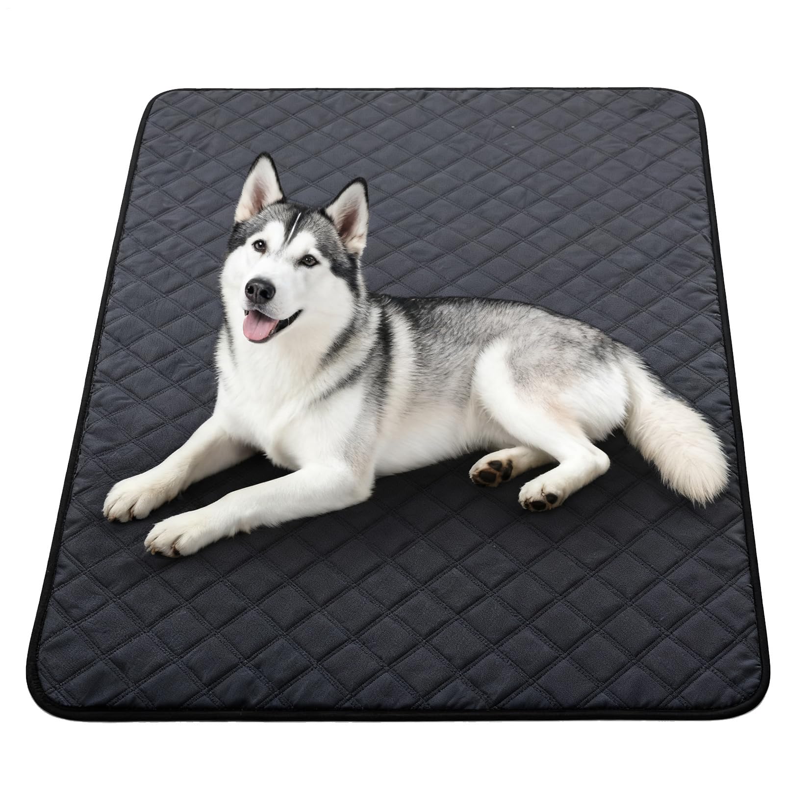 Tapis d'urine réutilisable pour chiens et chats lavable et imperméable pour sol et canapé