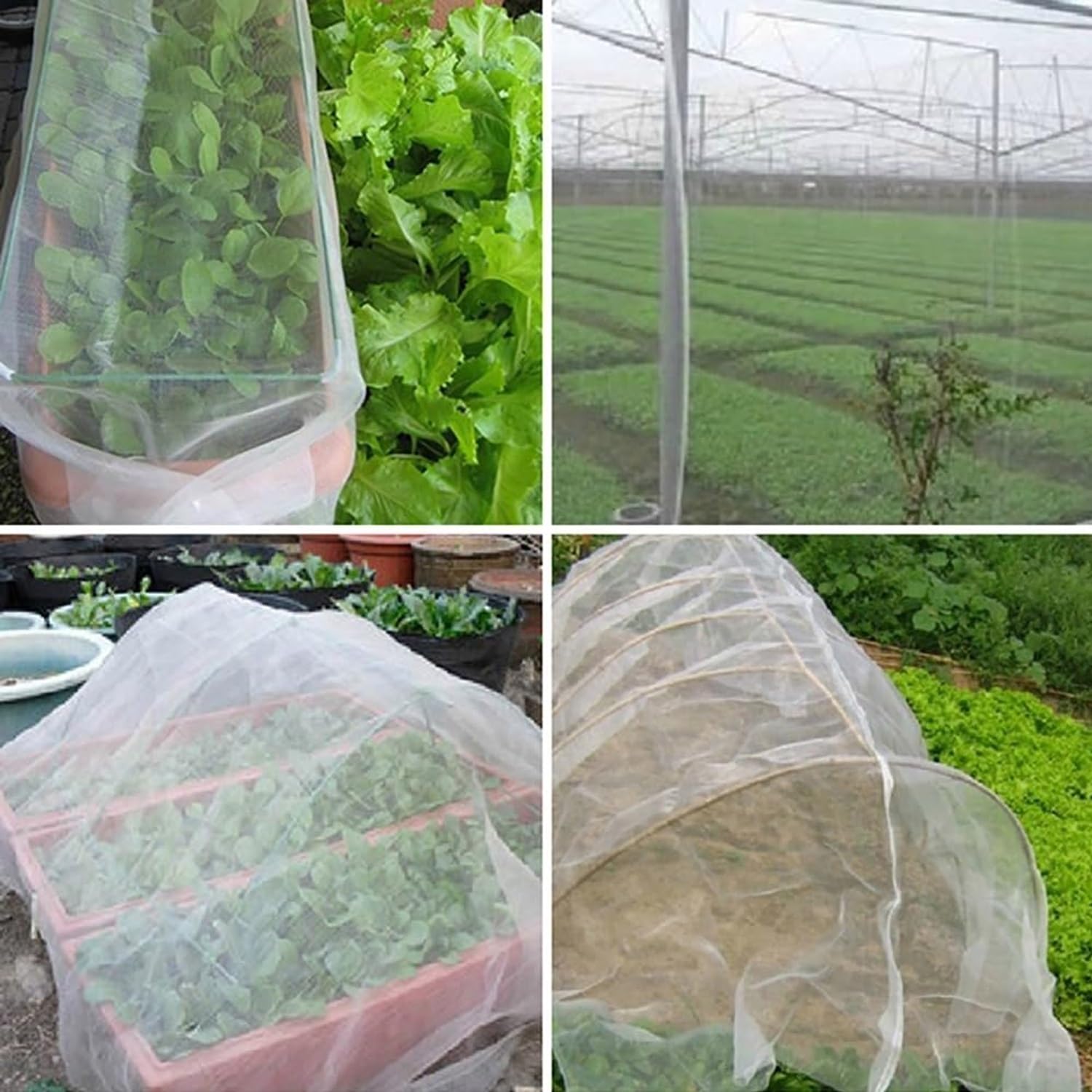 Red de jardín universal de 4 x 10 m, rollo antipájaros y plagas, color blanco, protector de malla eficaz para veterinarios y frutas, ideal para protección de plantas y defensa del jardín