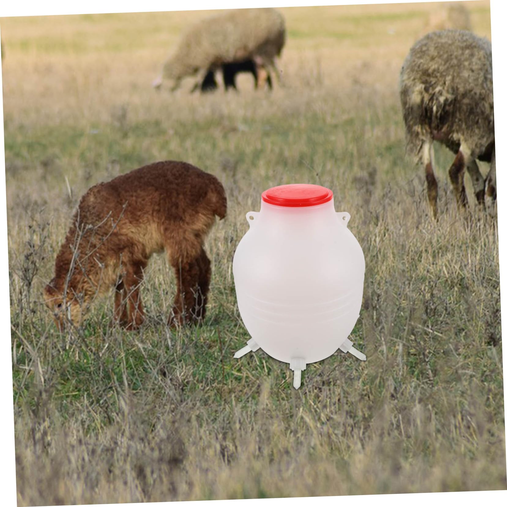 Biberon Per Latte Di Pecora Mangiatoia Per Latte Animale Con Tettarella Morbida Dispositivo Alimentazione in Riutilizzabile Per Agnelli e Bestiame