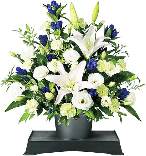 Amazon お盆 お供えのアレンジメント 供花台 小 付き Mk00az 花キューピット お供え 仏花 供花 法要 枕花 ギフト プレゼント フラワーアレンジメント オンライン通販 Amazon お盆 お供えのアレンジメント 供花台 小 付き Mk00az 花キューピット お供え 仏花 供花 法要 枕花 ギフト プレゼント フラワーアレンジメント オンライン通販