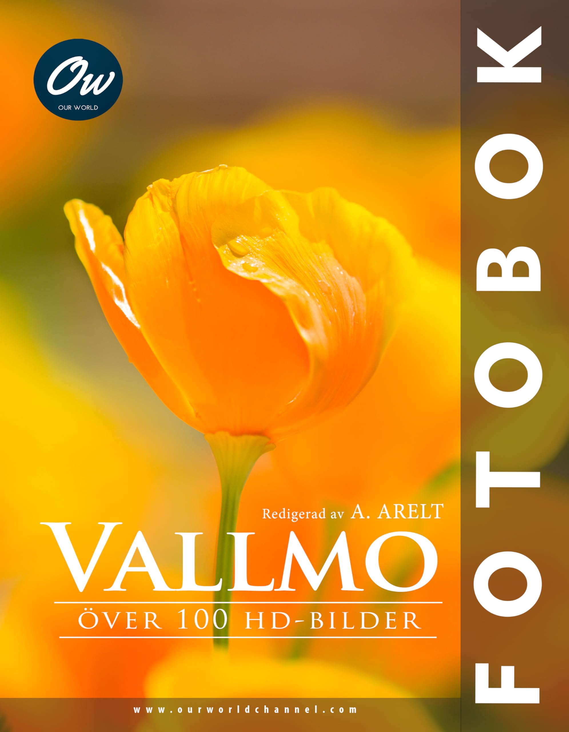 Vallmo : Trouvez l'inspiration créative grâce à 100 images HD de coquelicots artistiques
