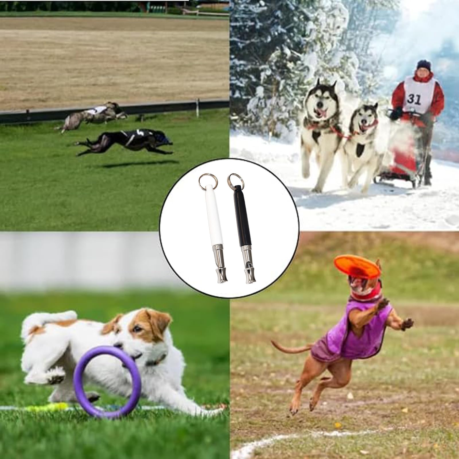 2 Pièces Sifflet Ultrason Chien Sifflet Ultrason Chien Anti Aboiement Livré Avec Lanière Sifflet Anti Aboeement Chien Voisin Adapté Au Dressage Canin Sifflet Anti Aboiement Chien Sifflet Ultra