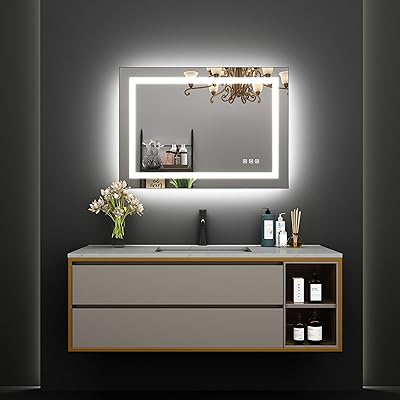 WATERPAR 24x32 LED Bathroom Mirror Smart Dimmable and Anti-Fog Wall-Mounted Vanity Mirror Vertical/Horizontal