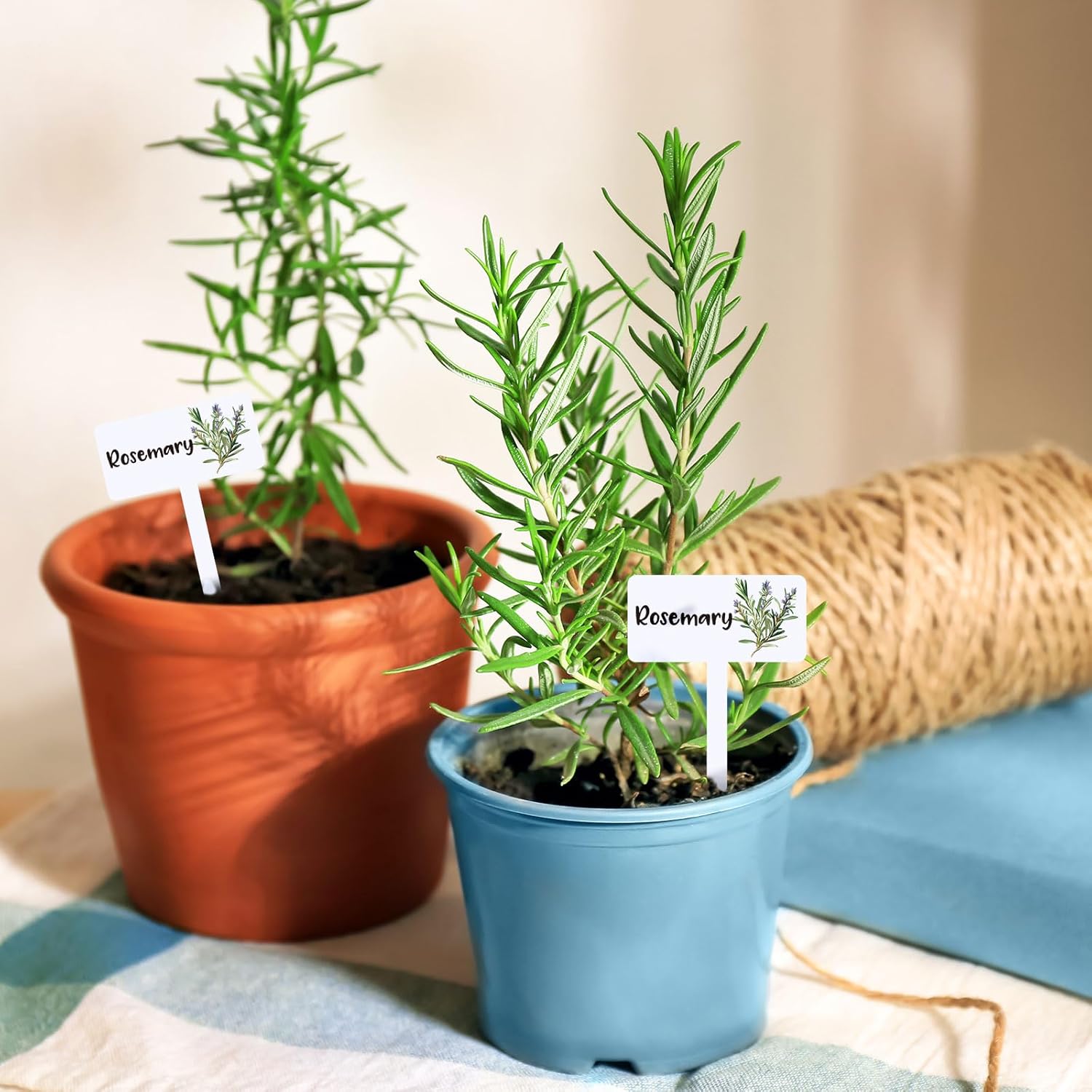 JarThenaAMCS 24Pcs Acrylic Plant Label Signs 12 Styles T-Type Herb Garden Markers Waterproof Reusable Plant Stake Tags with Names for Spring Summer Nursery Indoor Outdoor Garden Decoration - Image 6