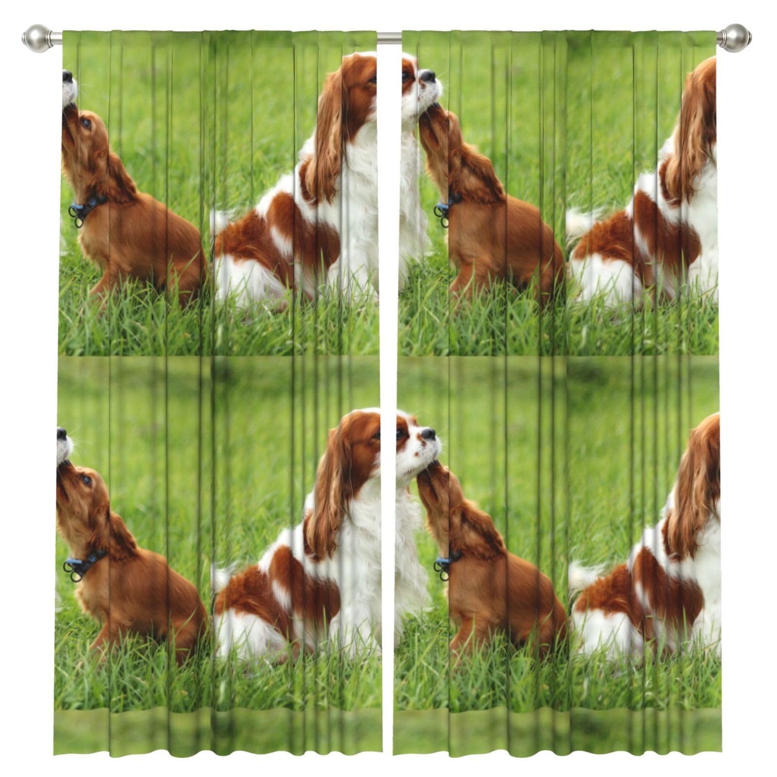 InOmak Cavalier King Charles Spaniel, 2 Panels Window Curtains 52 x 84 Inch Blackout Curtains for Living Room Bedroom