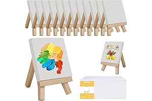 Mini Canvases for Painting with Easel Set