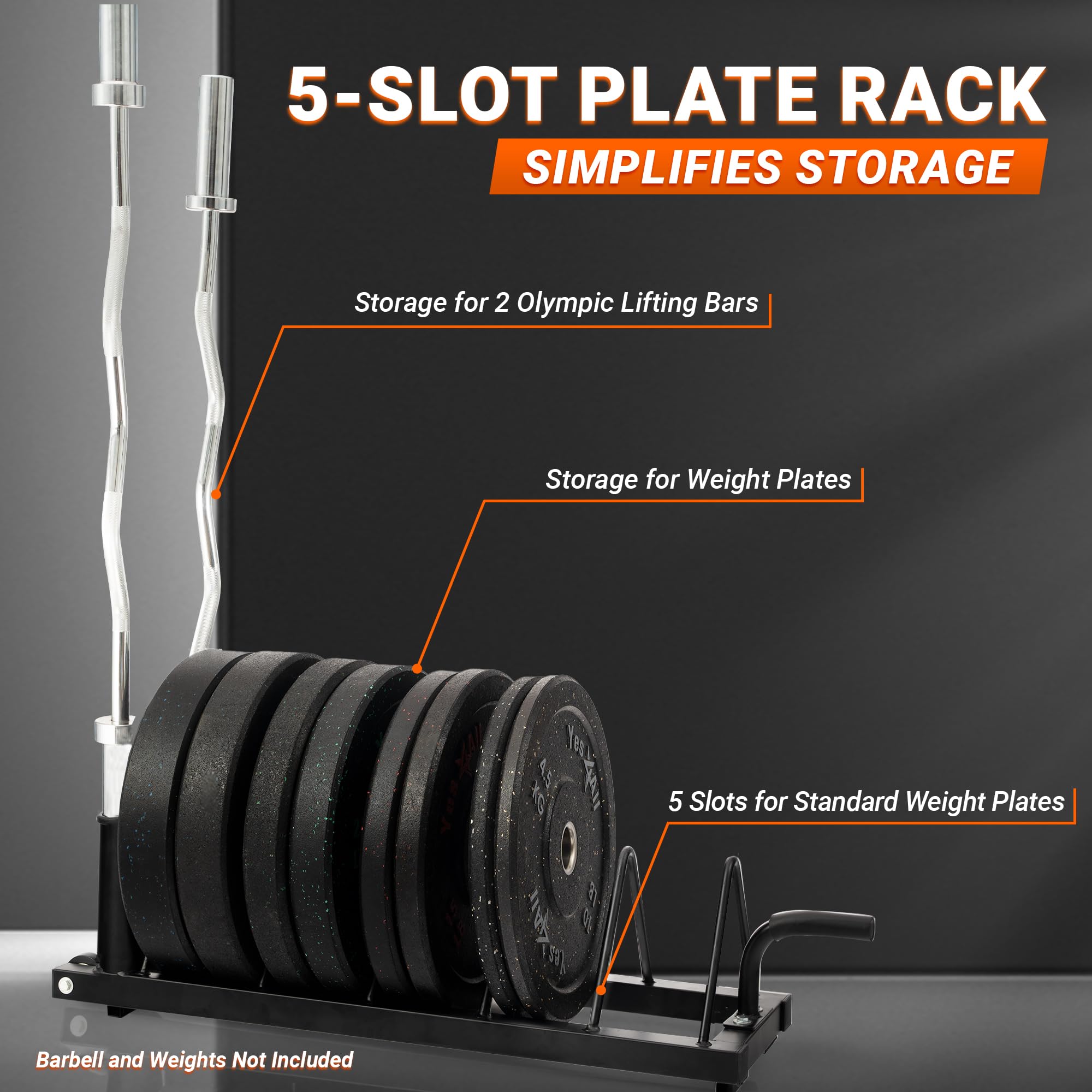 Yes4All 6 clavijas y 4 estantes de almacenamiento para pesas de hasta 539.8 kg – Soporte para árbol y barra de pesas montado en la pared