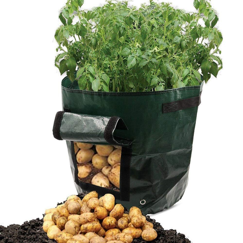 Bolsa de Cultivo Patata Grow Planter Paño Plantación Bolsa de contenedor Espesano Pote Potato Plantación Bolsa Tomates Vegetal Plant