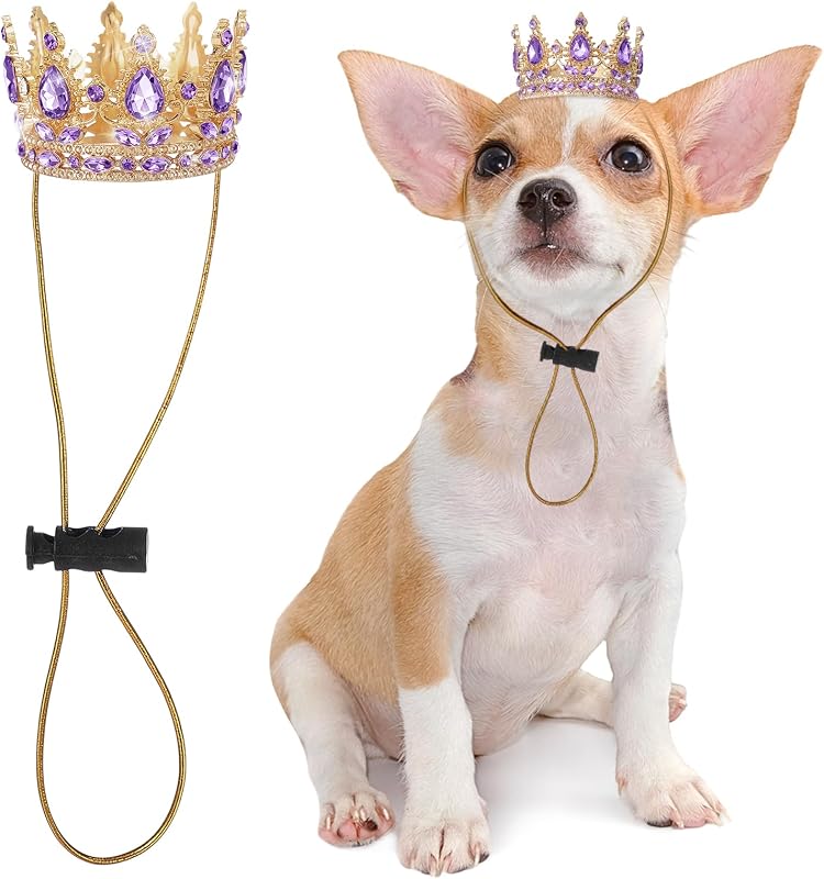Coroa de Aniversário para Cães Pequenos Abbylike com Strass Roxo-Claro
