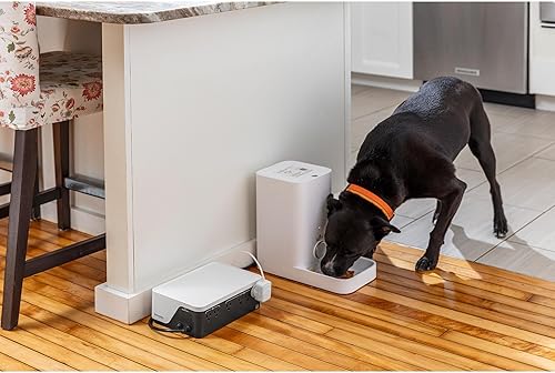 Miniatura 4 de APC Respaldo de batería de UPS y protector contra sobretensiones, UPS de 500 VA con 4 tomas de batería de respaldo, carga USB tipo C, respaldo