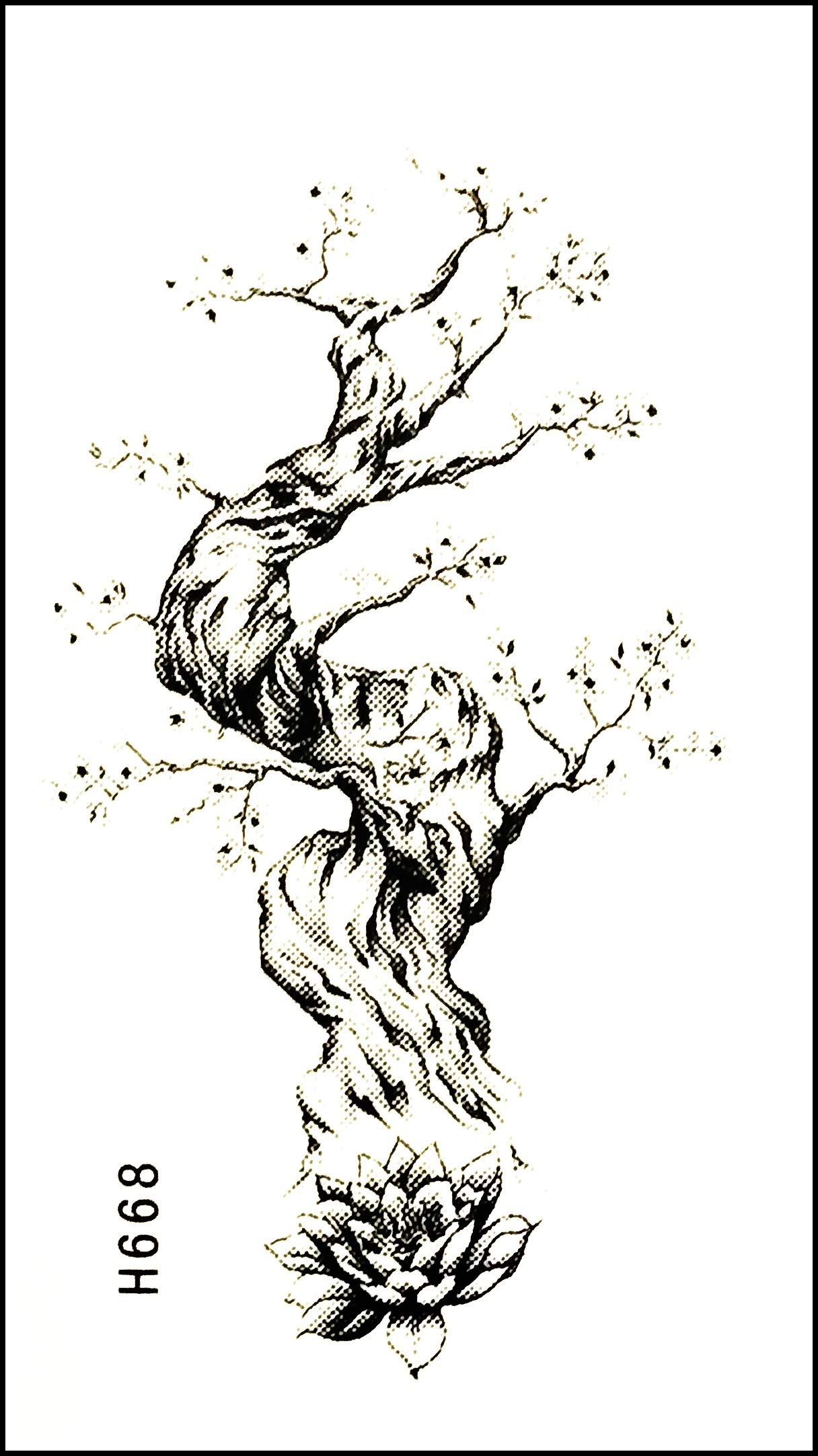 Bonsai Tree Drawing Tattoo