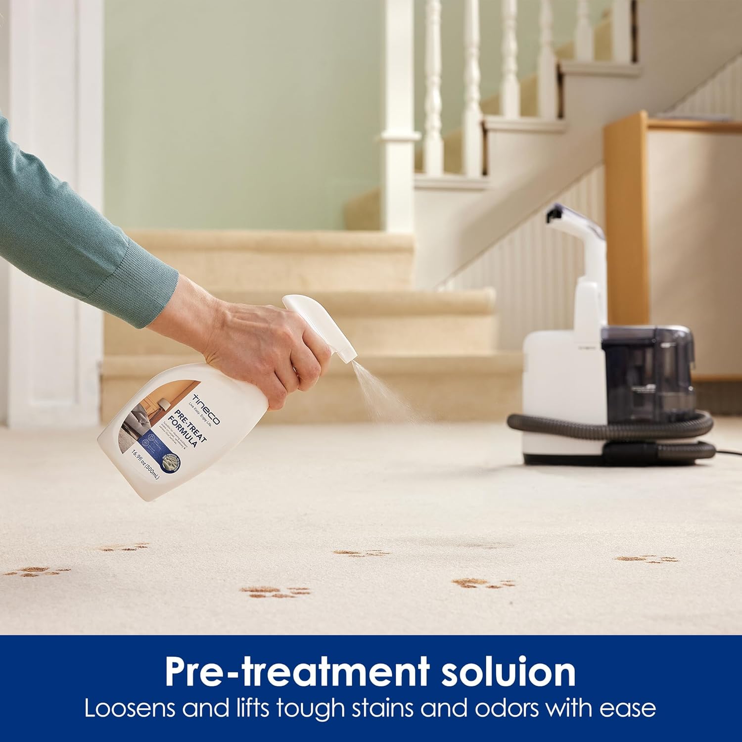 Hand spraying pre-treatment solution onto a carpet with paw print stains, with the Tineco iCarpet Spot Cleaner in the background.