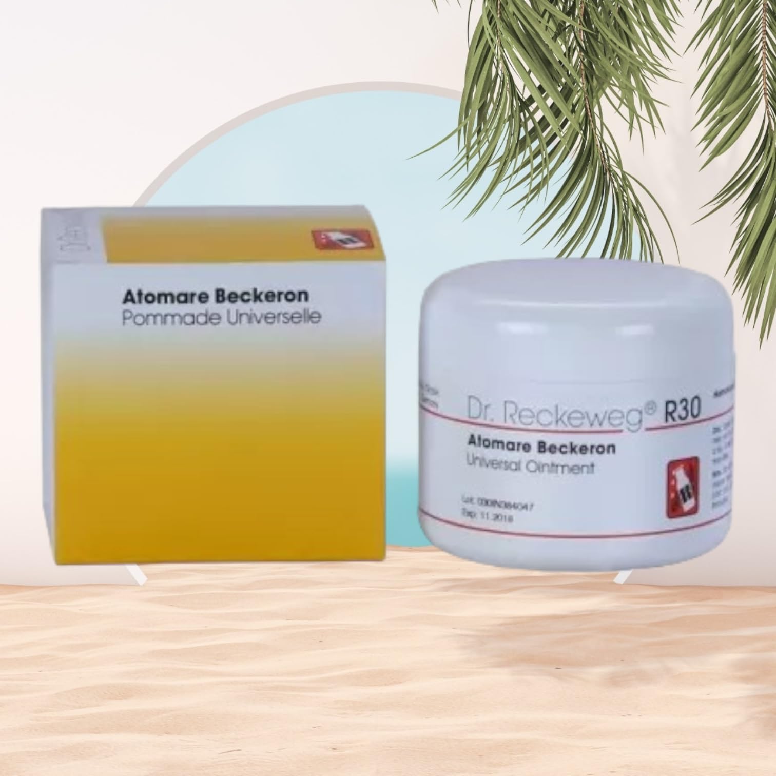 Dr Reckeweg R30 Homeopathic Medicine Atomare Beckero - Homeopathic Medicine 85g - (B0CYXZF7KQ) Amazon Price History, Amazon Price Tracker