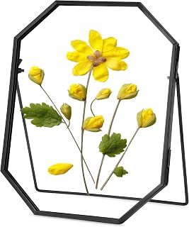 REDHUGO Glass Pressed Flower Frame Handmade, Octagon, Black, 6x8 Inches