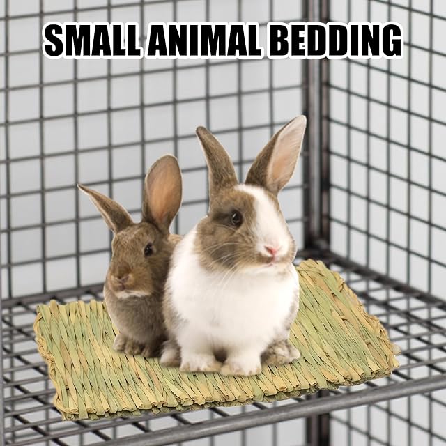 Foto 3 de 7 de BAIFULAI 10 alfombrillas de hierba para animales pequeños: alfombra de hierba natural segura y comestible