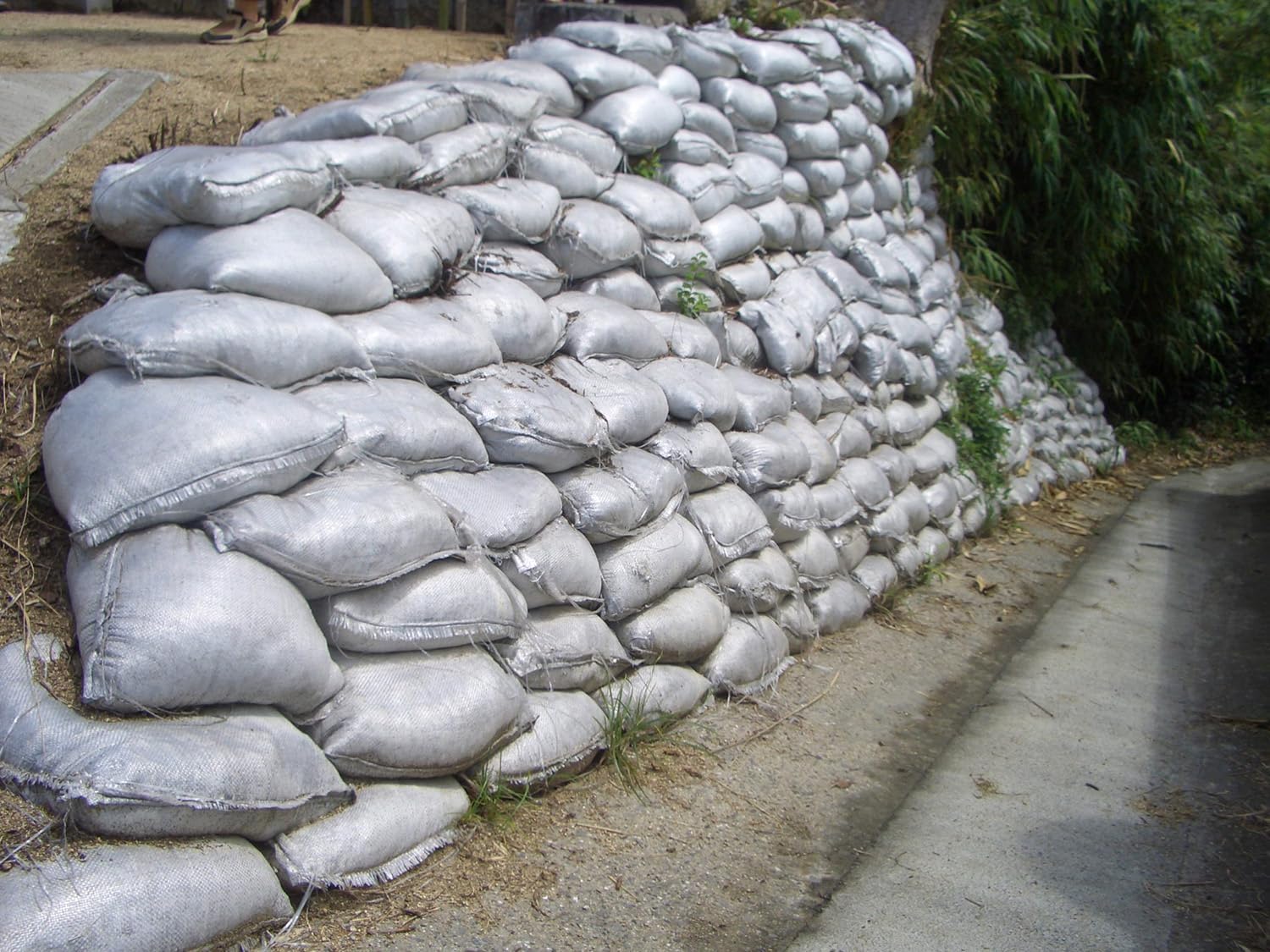 Hagiwara Industries Tarpy Super Sandbags 18.9 x 24.4 inches (48 x 62 cm), Pack of 50