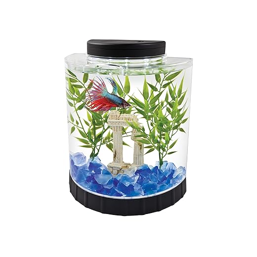 Tetra 1 Gallon Half Moon Small Fish Tank w/ Movable LED Light, For Betta & Gold Fish, Aquarium