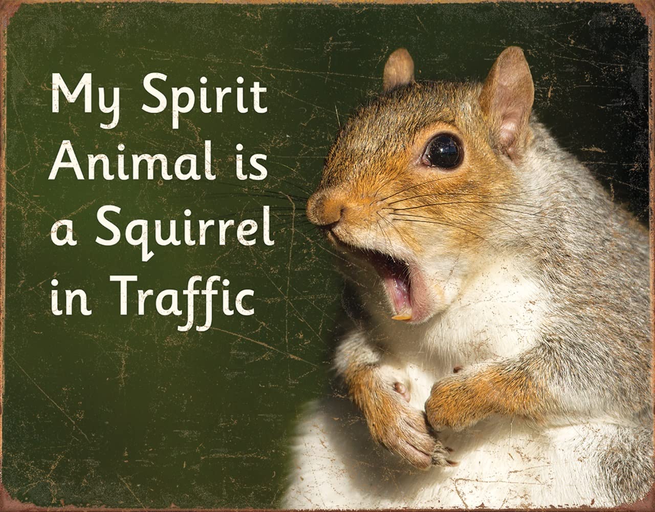 Plaque en étain My Spirit Animal Is A Squirrel pour mur vide sans vie