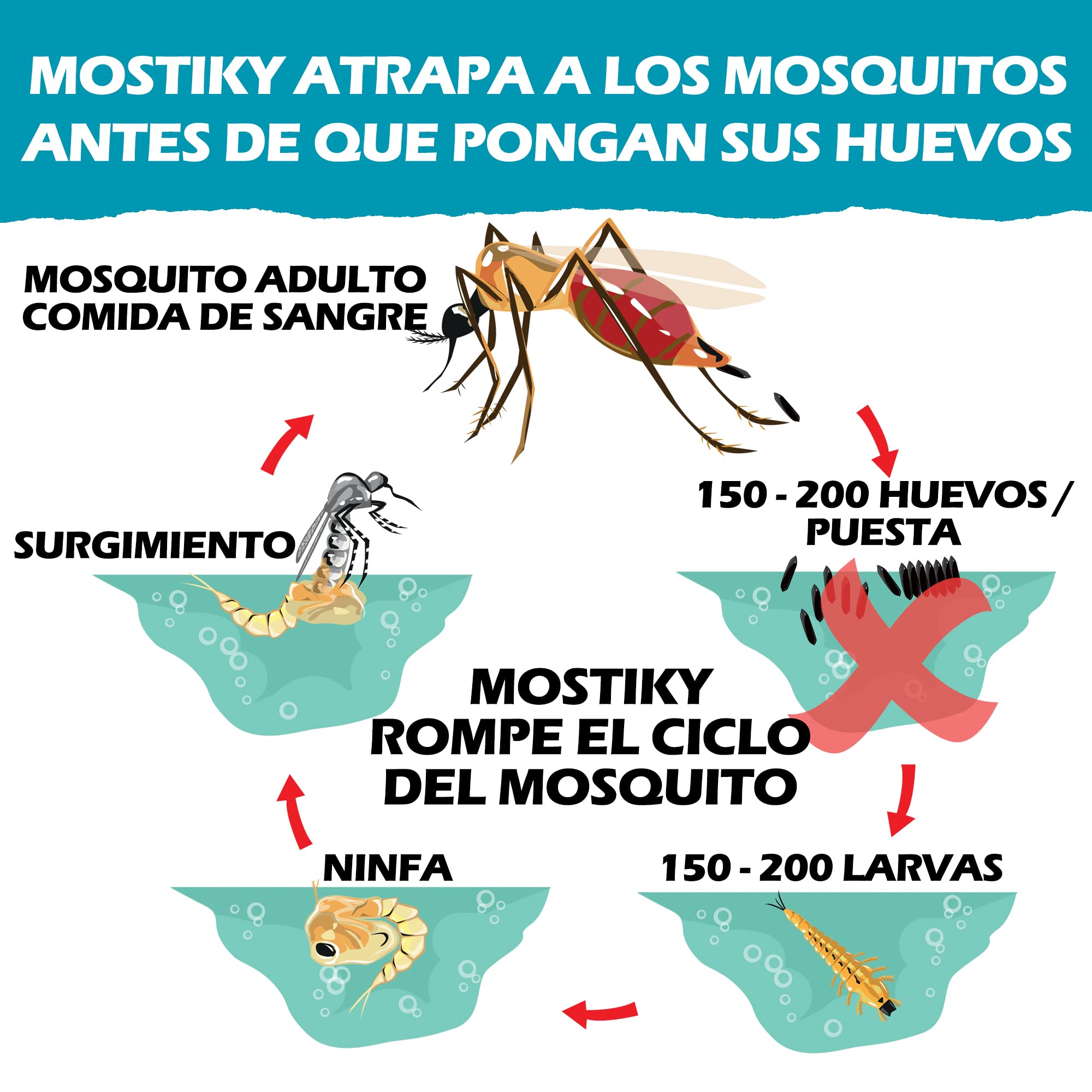 Mostiky: 30 Tarjetas Adhesivas compatibles con Biogents BG-GAT. Paquete de 30 Tarjetas Adhesivas para capturar Mosquitos Tigre Antes de Que pongan Sus Huevos.
